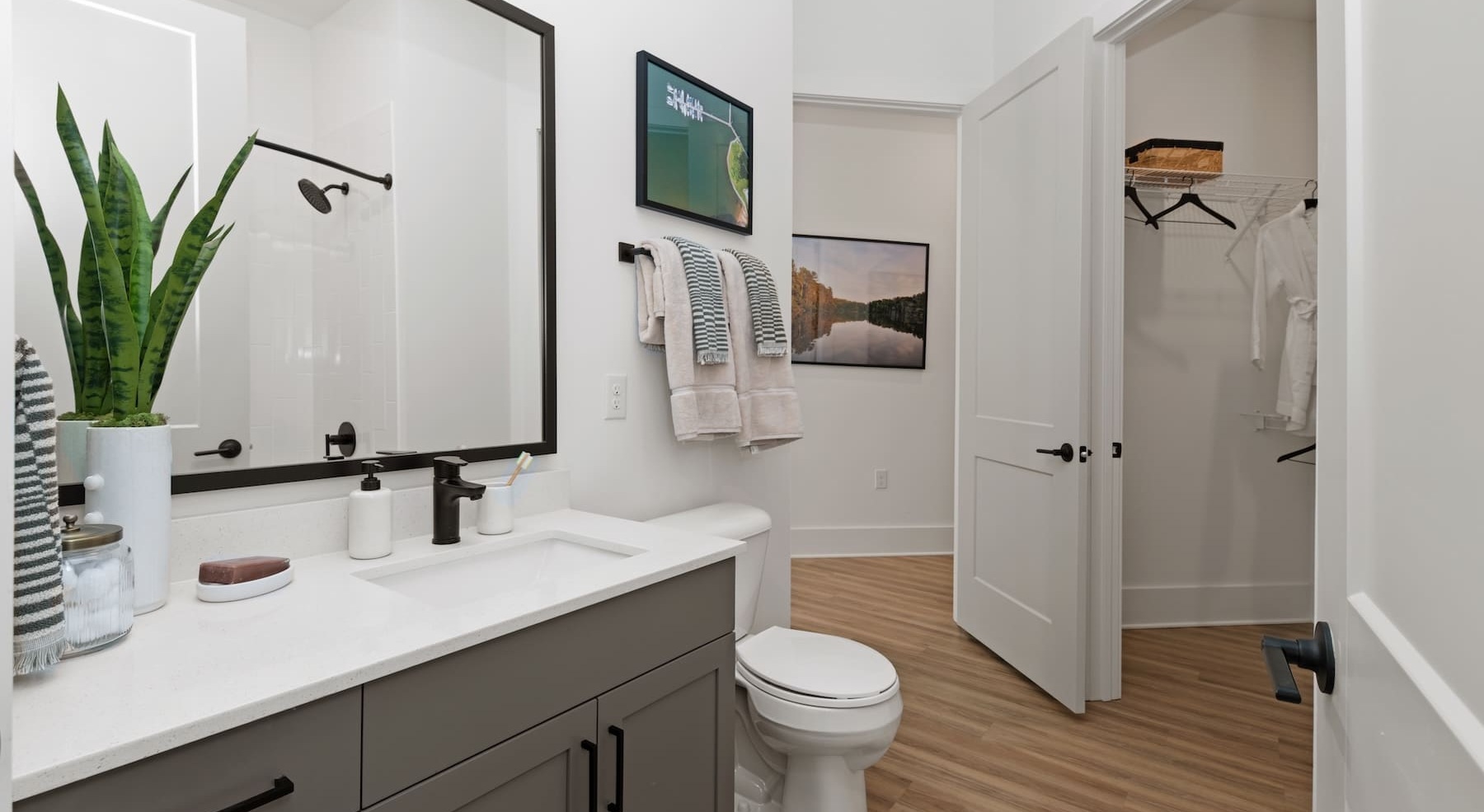 bathroom with a modern closet